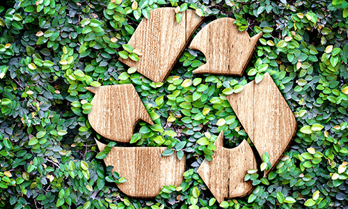 Sjö góðar ástæður fyrir því að flokka og endurvinna