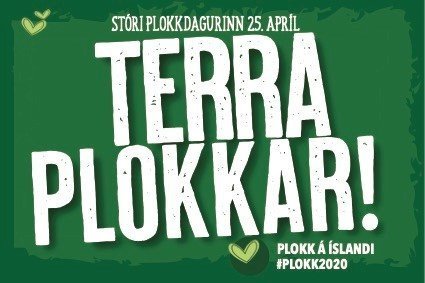 Stóri plokkdagurinn á degi Umhverfisins