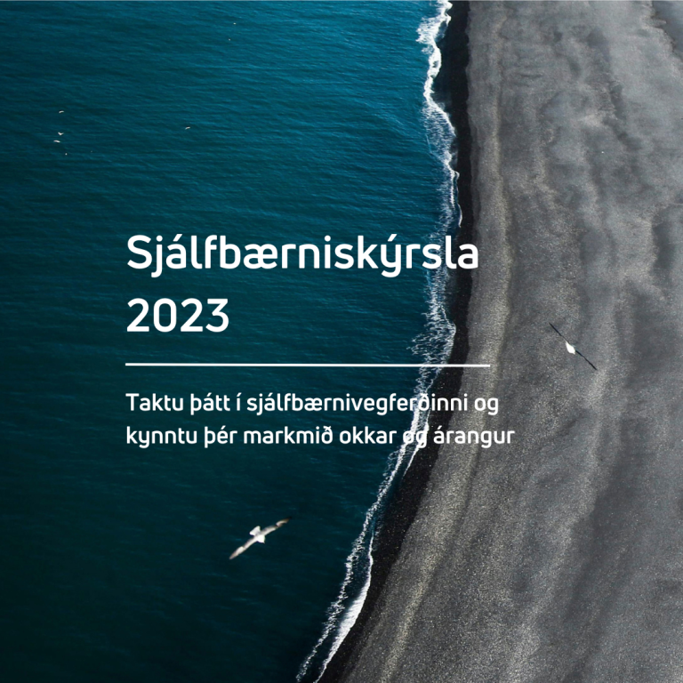 Betra samfélag ef við stuðlum öll að sjálfbærni