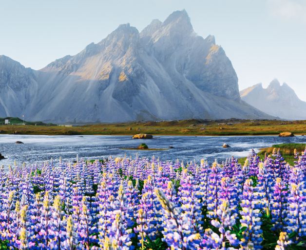 Við viljum stuðla að sjálfbærni